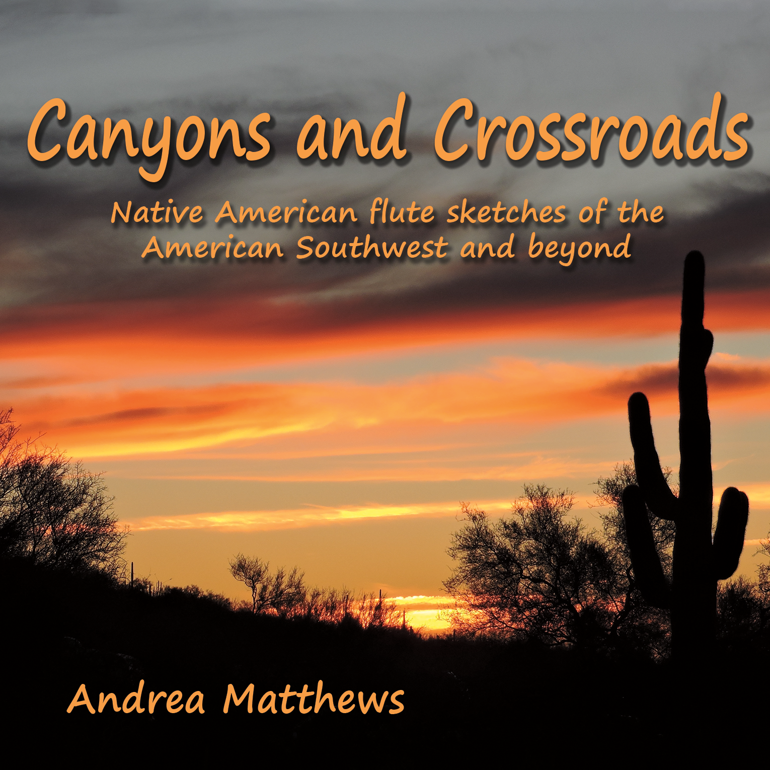 Canyons and Crossroads - Native American flute music CD